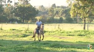 TV UC – Galope na raia