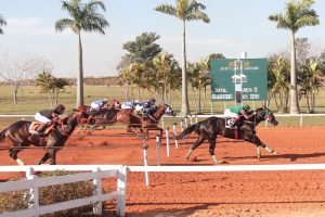 Craque do Mato Grosso vence GP ABQM Potro do Futuro de Corrida