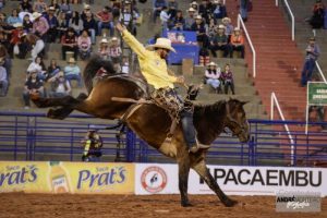 Rodeio, a estrela da Festa do Peão de Barretos