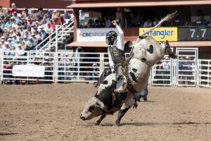 Sage Kimzey venceu Calgary Stampede 2019 com recorde