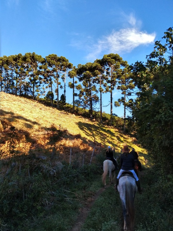 Cavalgada da Serra
