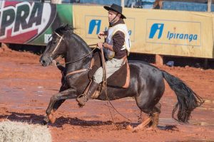 Mato Grosso do Sul apresenta últimos classificados ao Freio de Ouro