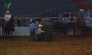 Bulldog foi uma das estrelas do rodeio de Iturama em Minas Gerais