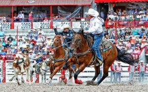 Para Trey Yates, não existe melhor parceiro no team roping que seu pai