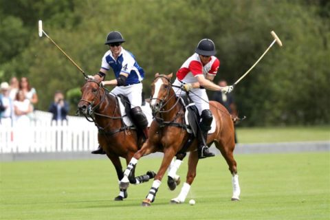 Príncipes William e Harry da Inglaterra juntos em competição de Polo