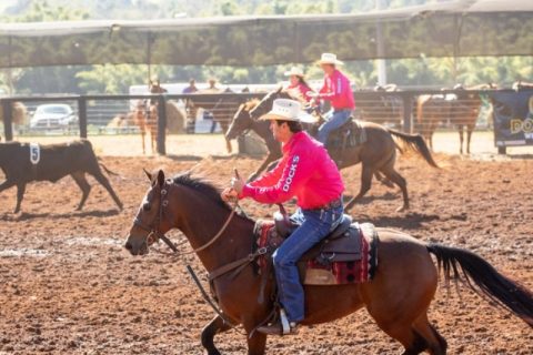 Liga Leste fecha com sucesso Oficializadas de Team Penning e Ranch Sorting
