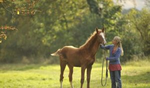 Ma bonne étoile – Minha estrela da sorte
