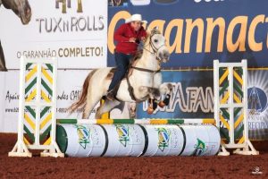 Quarto de Milha e o cavalo perdem Marcão Toledo