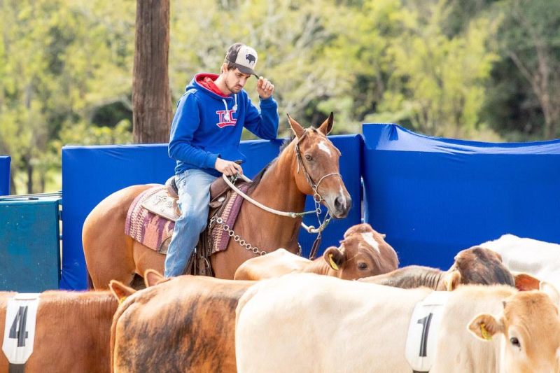 O cavalo está na família de Murillo Archanjo Martins