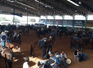 Três Tambores, Laço Cabeça e Team Penning no Nacional ABQM 2019