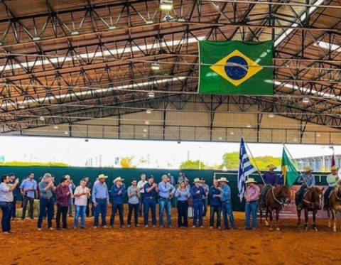 Chegou ao fim mais um Campeonato Nacional do Quarto de Milha