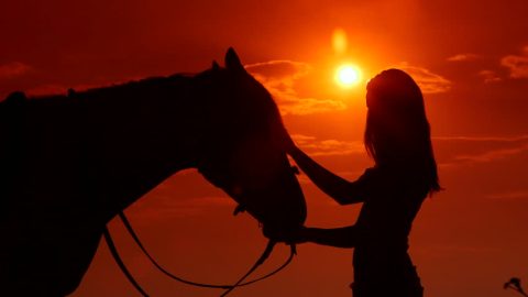 O conjunto – cavalo x cavaleiro – que auxilia corpo e mente