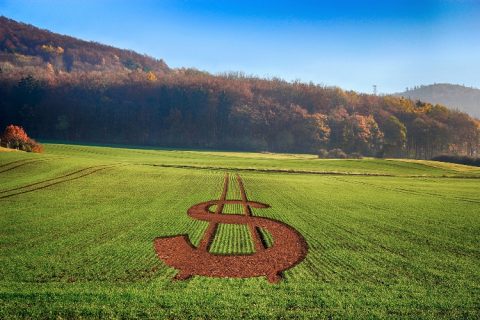 Financiamento agrícola pode depender menos do governo no futuro
