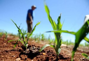 Índice de Confiança do Agronegócio atinge 111,3 pontos no 2º trimestre