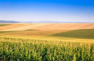 Governo faz ajustes nas regras do Programa de Seguro Rural para o próximo ano