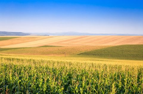 Governo faz ajustes nas regras do Programa de Seguro Rural para o próximo ano