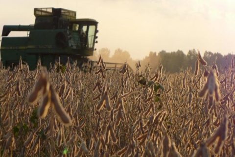 Brasil bate recorde na produção de grãos na safra