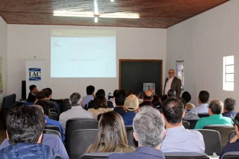 Estado de São Paulo estima produção de 220 mil toneladas de Trigo