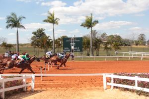 Provença Jess MRL foi a campeã do GP Taça de Bronze de Corrida