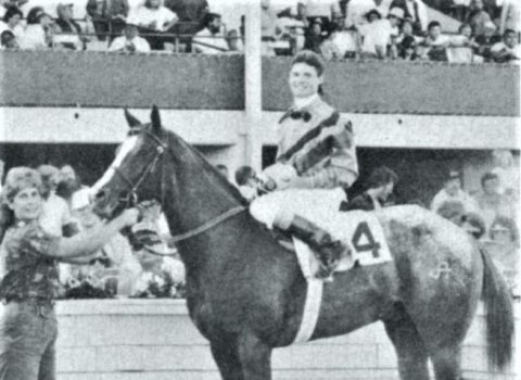 Brother Gene, da raça Apaaloosa, destaque na criação de Edward Allred