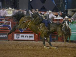 Barretos: parceria pretende exportar campeões brasileiros de rodeio