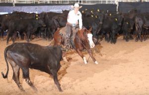 Fazenda Gruta Azul comemora os resultados do Nacional ABQM