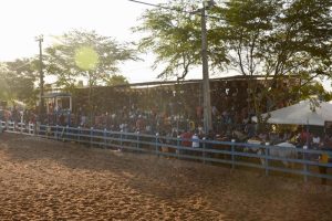 Vaquejada do Circuito Otto Alencar começou bem com etapas do CPV 2019