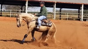 Jango Salgado de volta os treinos e às pistas de Rédeas para competir