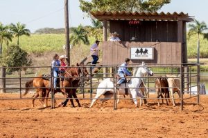 Liga Leste Paulista de Team Penning encerrou temporada regular 2019