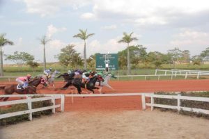 Cavalo brasileiro brilhou com índice AAAT 101 em Ruidoso Downs