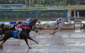 Yashira Vista vence clássico de Corrida nos Estados Unidos