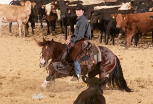 Rodrigo Taboga campeão Limited Open no West Texas de Apartação