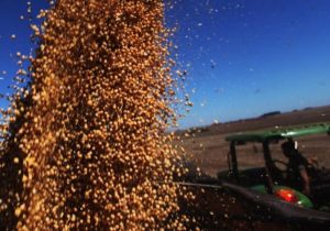 Brasil colhe safra de grãos 6,4% maior