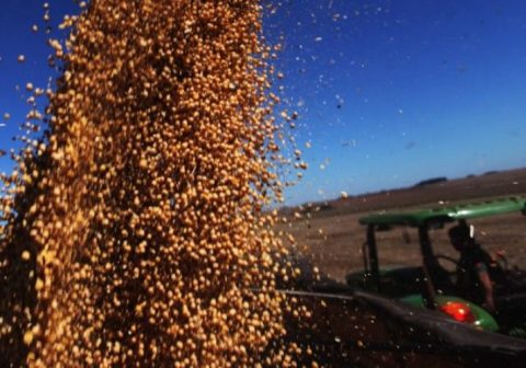 Brasil colhe safra de grãos 6,4% maior