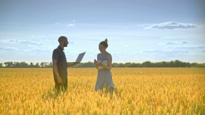 Pensamento multidisciplinar para sustentabilidade do agro