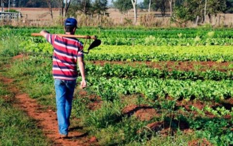 Nove linhas de financiamento do Plano Safra 19/20 para crédito rural