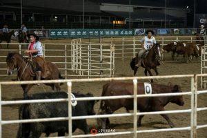 Ranch Sorting define campeões do ciclo do cavalo Crioulo