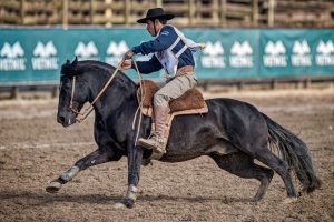 Estreantes foram destaque na final Nacional do Movimiento a La Rienda