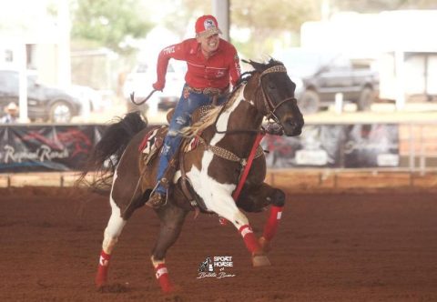 Brasileiros estão em Fort Worth para o APHA World Show
