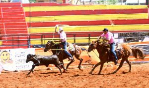 Copa Cavalo reuniu cerca de 500 competidores em Olímpia