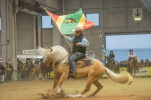 Prova na Europa mostrará potencial do Cavalo Crioulo