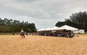 UC promove Encontro Internacional de Horsemanship em Sorocaba