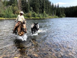 Novas aventuras de um cowboy e seus dois mustangs