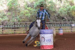 ANCAF do cavalo Árabe recomeça campeonato de Três Tambores