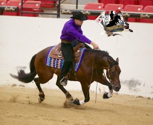 As emoções da edição 2019 do High Roller Reining Classic em Las Vegas