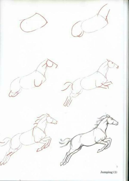 desenho de cavalos