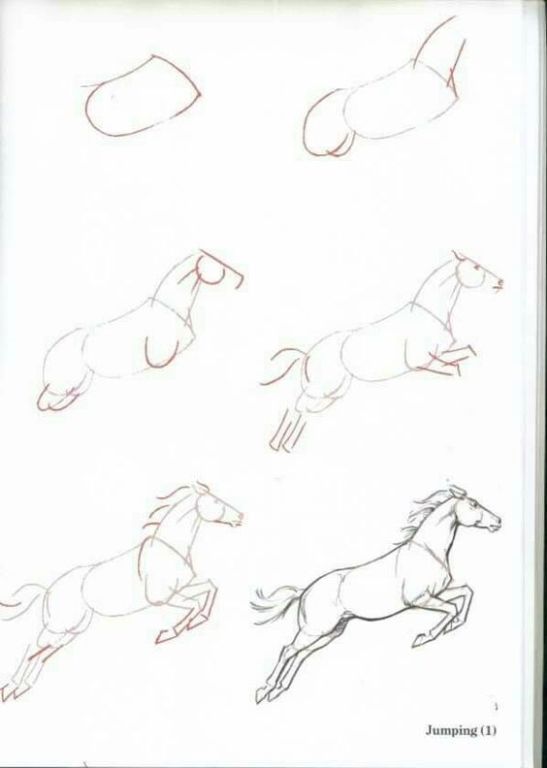 Como desenhar um cavalo - Eu Desenho Animais