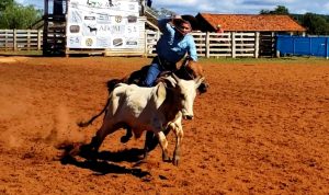 Um apaixonado por cavalos e pelo Quarto de Milha de Laço Comprido