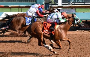 All American Futurity tem vitória de Mr Jess Jenkins