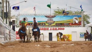 Mais uma etapa do Campeonato Portal Vaquejada acirrada e de sucesso